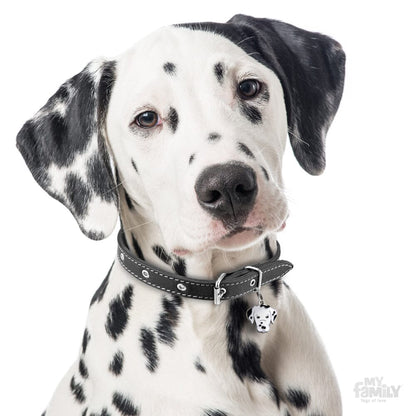 MyFamily Dog ID Tag / Dalmatian