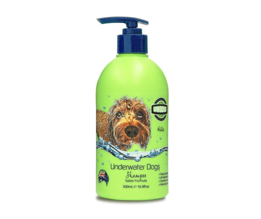 Shampoo underwater dogs