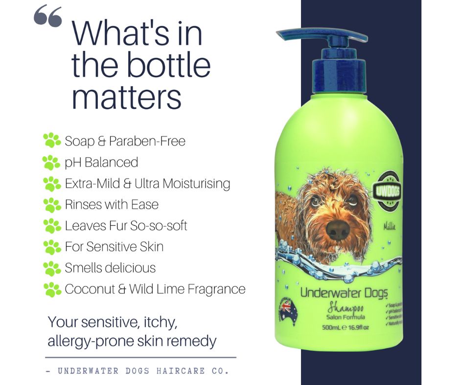 Underwater clearance dogs shampoo