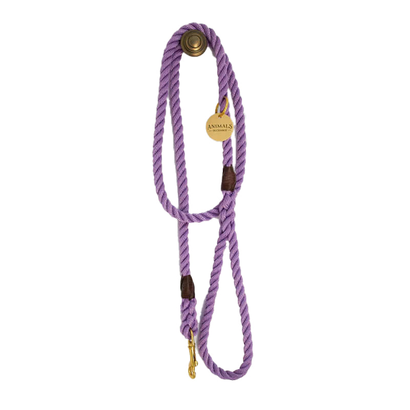 Lavender + Brass Rope Dog Leash