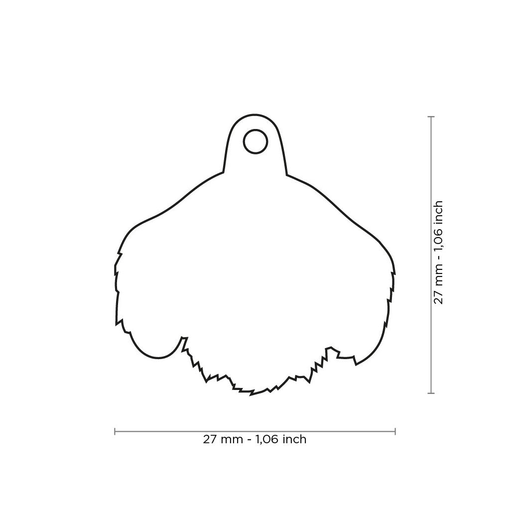 MyFamily Dog ID Tag / Black & Tan Wire-Haired Dachshund