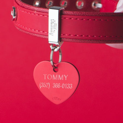 MyFamily Dog ID Tag / Basic Heart