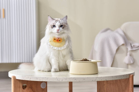 MICHU Premium Ceramic Cat Bowl