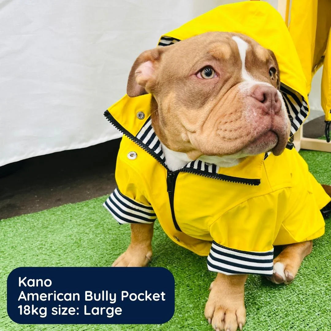 FunkDog funkCOAT Luxury Raincoat in Yellow