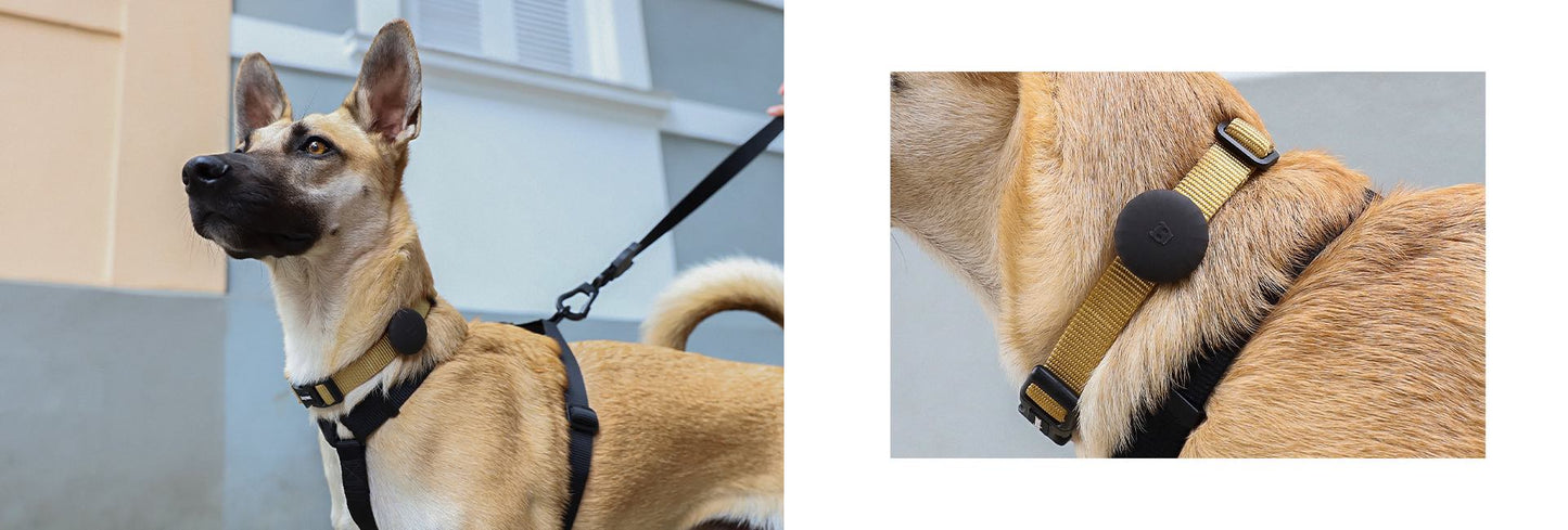 Zee Dog - Airtag Holder