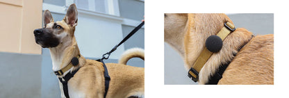 Zee Dog - Airtag Holder