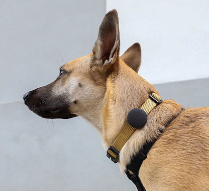 Zee Dog - Airtag Holder