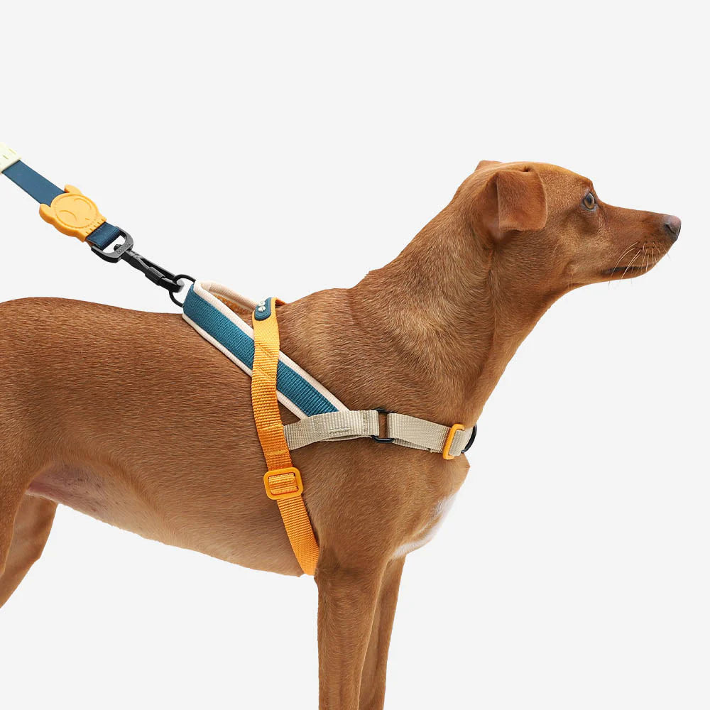 Zee Dog - SofterWalk Harness Voyage