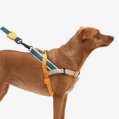Zee Dog - SofterWalk Harness Voyage