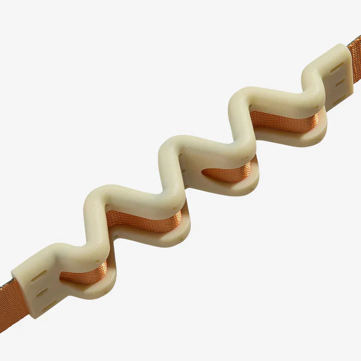 Zee Dog - Ruff Leash Voyage