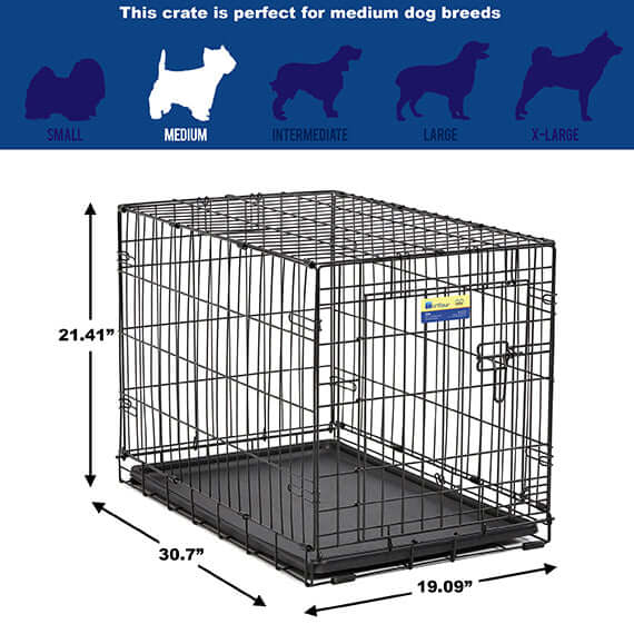 Contour Dog Crate Dogs in Town