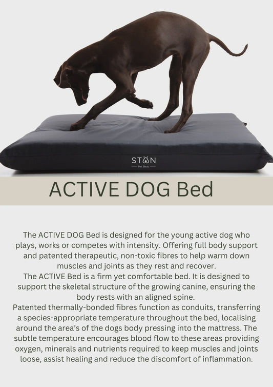 STAN Active Dog Bed in Linen / Natural