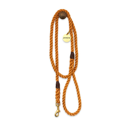 Harvest Yellow + Brass Rope Dog Leash