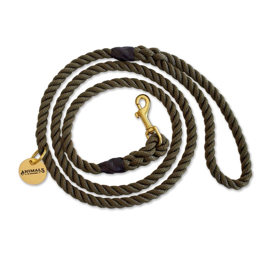 Olive + Brass Rope Dog Leash