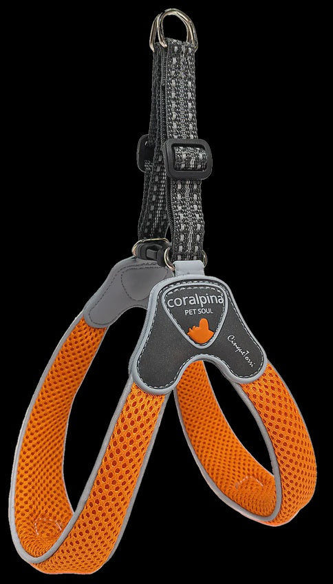Coralpina Cinquetorri Harness / Orange