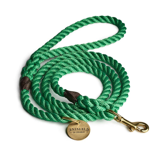 Leafy Green + Brass Rope Dog Leash