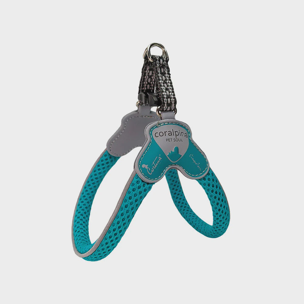 Coralpina Cinquetorri Harness / Turquoise
