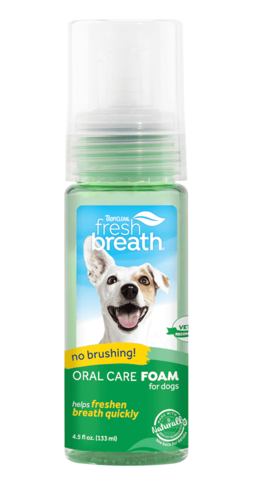 Fresh Breath Oral Foam