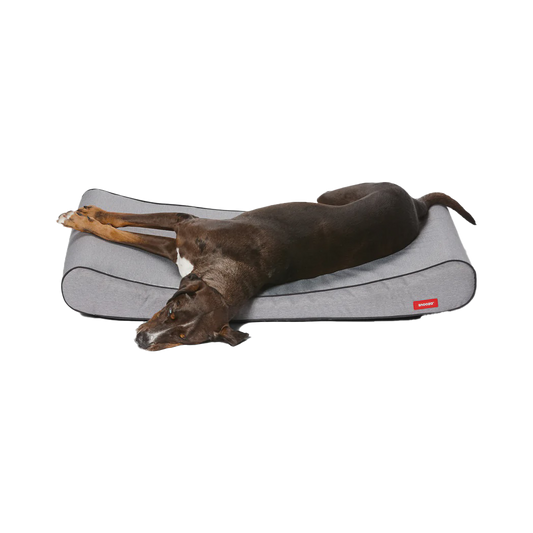 Ortho Lounger Grey Large- Water Repellent