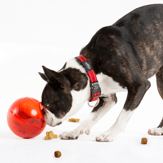 Rogz Tumbler Puzzle Toy