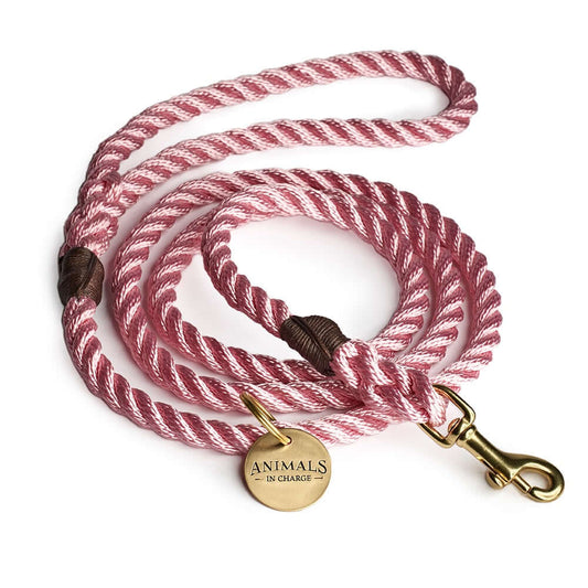 Rose Pink + Brass Rope Dog Leash