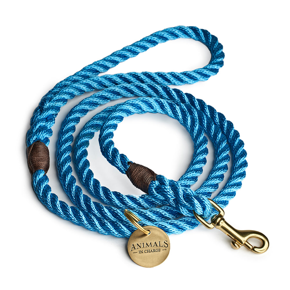 Sky Blue + Brass Rope Dog Leash