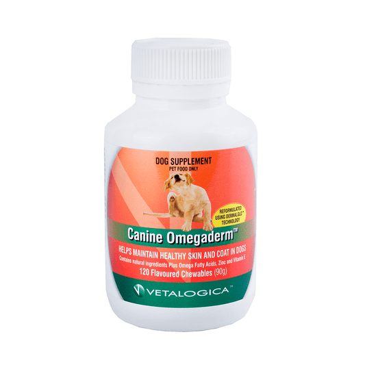 Vetalogica Canine Omegaderm - Supplement