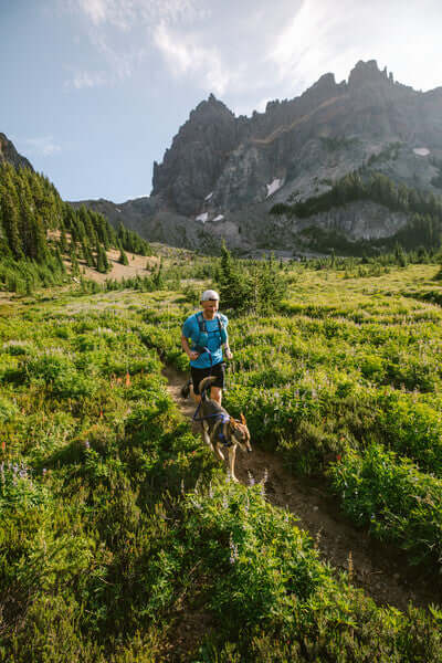 Ruffwear Front Range Harness Huckleberry Blue