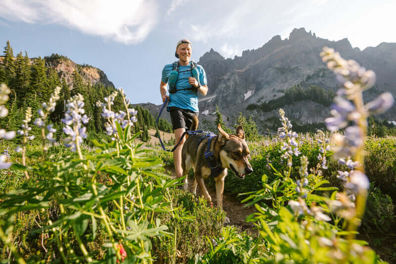 Ruffwear Front Range Harness Huckleberry Blue